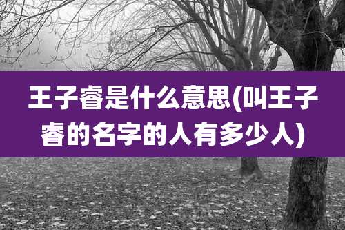 王子睿是什么意思(叫王子睿的名字的人有多少人)