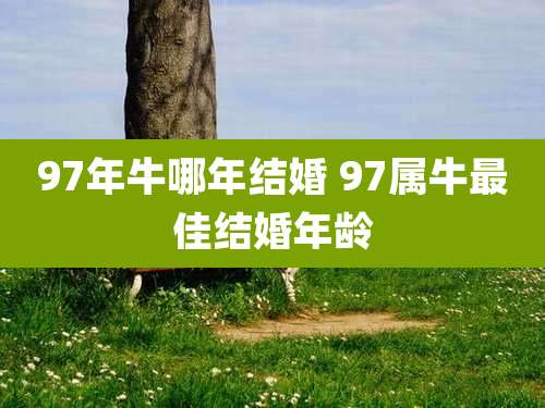 97年牛哪年结婚 97属牛最佳结婚年龄
