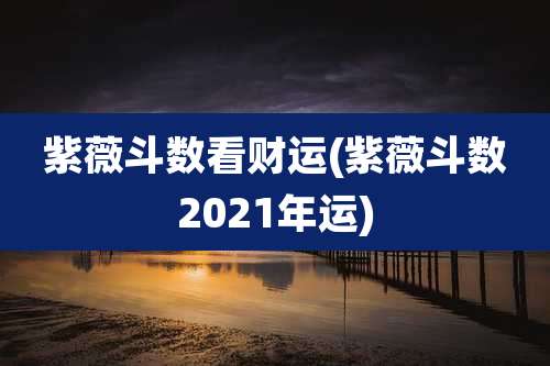 紫薇斗数看财运(紫薇斗数2021年运)