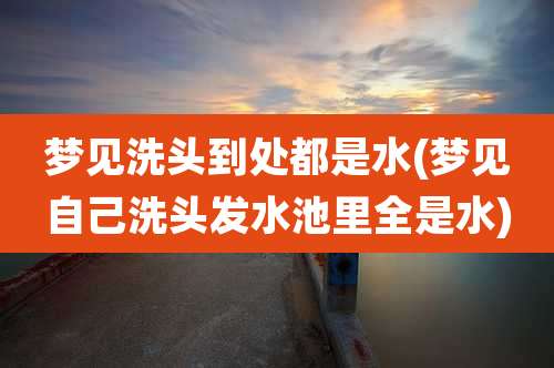 梦见洗头到处都是水(梦见自己洗头发水池里全是水)