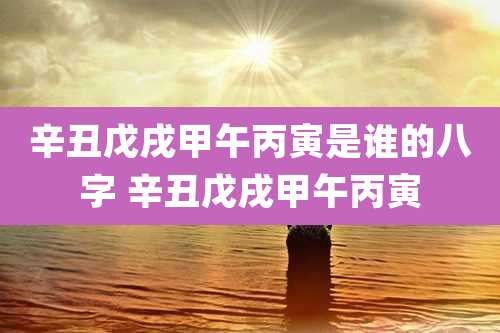 辛丑戊戌甲午丙寅是谁的八字 辛丑戊戌甲午丙寅