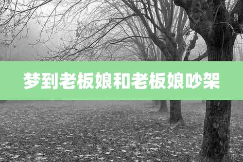 梦到老板娘和老板娘吵架