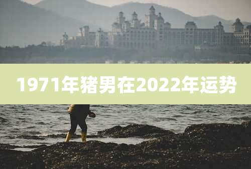 1971年猪男在2022年运势