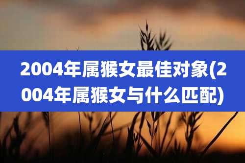 2004年属猴女最佳对象(2004年属猴女与什么匹配)