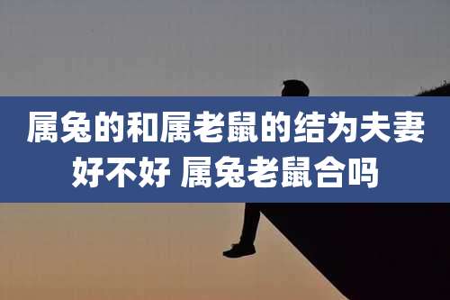 属兔的和属老鼠的结为夫妻好不好 属兔老鼠合吗