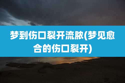 梦到伤口裂开流脓(梦见愈合的伤口裂开)