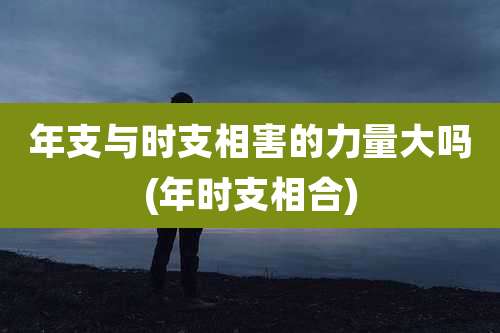 年支与时支相害的力量大吗(年时支相合)