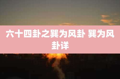 六十四卦之巽为风卦 巽为风卦详