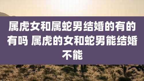 属虎女和属蛇男结婚的有的有吗 属虎的女和蛇男能结婚不能