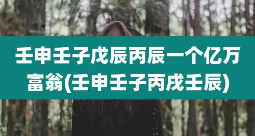 壬申壬子戊辰丙辰一个亿万富翁(壬申壬子丙戌壬辰)