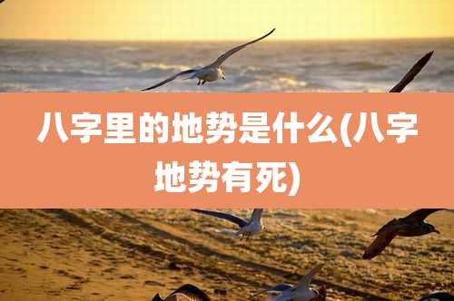 八字里的地势是什么(八字地势有死)