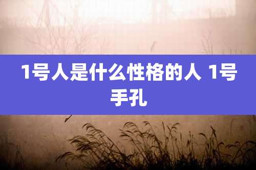 1号人是什么性格的人 1号手孔