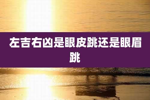 左吉右凶是眼皮跳还是眼眉跳