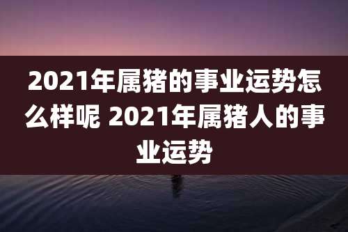 2021年属猪的事业运势怎么样呢 2021年属猪人的事业运势