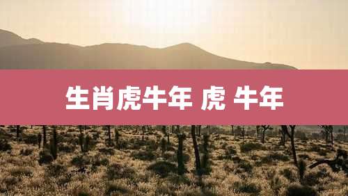 生肖虎牛年 虎 牛年