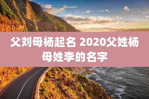 父刘母杨起名 2020父姓杨母姓李的名字