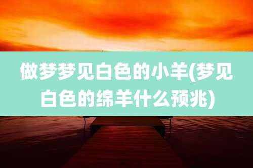 做梦梦见白色的小羊(梦见白色的绵羊什么预兆)