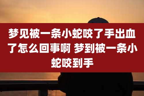 梦见被一条小蛇咬了手出血了怎么回事啊 梦到被一条小蛇咬到手