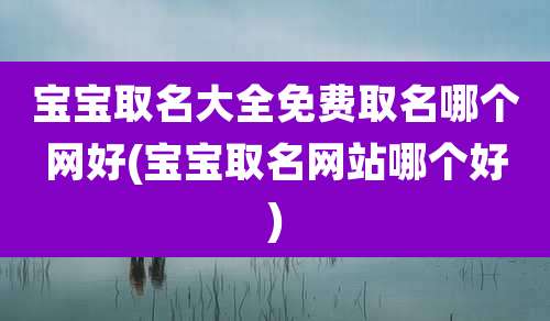 宝宝取名大全免费取名哪个网好(宝宝取名网站哪个好)