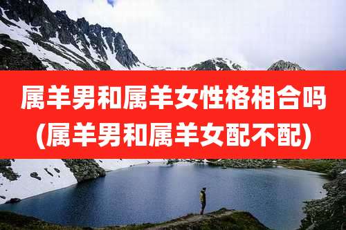 属羊男和属羊女性格相合吗(属羊男和属羊女配不配)