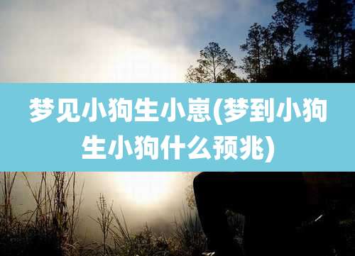 梦见小狗生小崽(梦到小狗生小狗什么预兆)