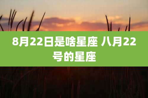 8月22日是啥星座 八月22号的星座