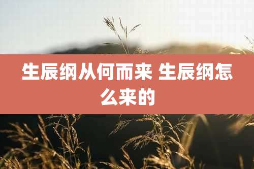 生辰纲从何而来 生辰纲怎么来的