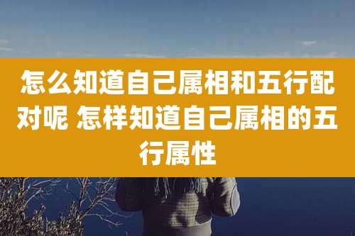 怎么知道自己属相和五行配对呢 怎样知道自己属相的五行属性