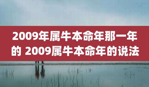 2009年属牛本命年那一年的 2009属牛本命年的说法