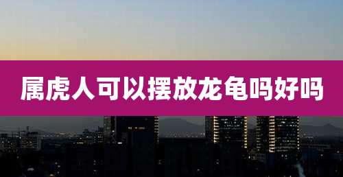 属虎人可以摆放龙龟吗好吗