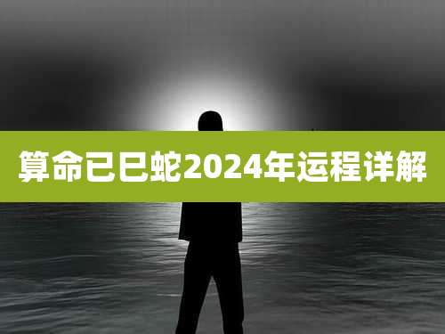 算命已巳蛇2024年运程详解