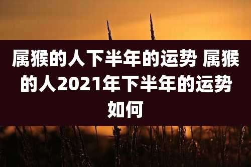 属猴的人下半年的运势 属猴的人2021年下半年的运势如何