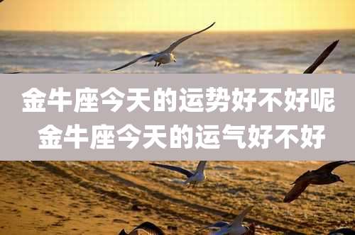 金牛座今天的运势好不好呢 金牛座今天的运气好不好
