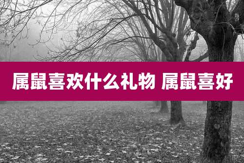 属鼠喜欢什么礼物 属鼠喜好