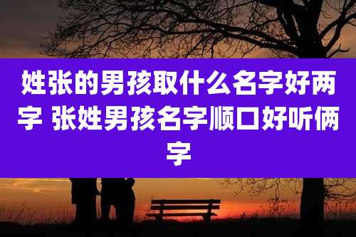 姓张的男孩取什么名字好两字 张姓男孩名字顺口好听俩字