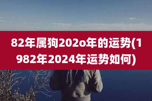 82年属狗202o年的运势(1982年2024年运势如何)
