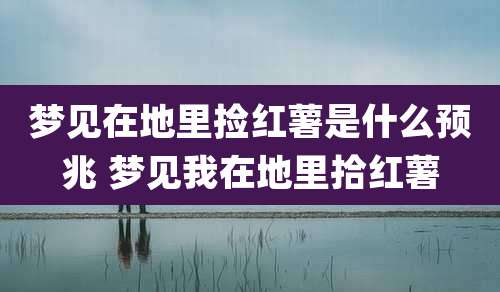 梦见在地里捡红薯是什么预兆 梦见我在地里拾红薯