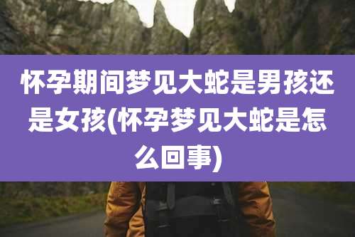 怀孕期间梦见大蛇是男孩还是女孩(怀孕梦见大蛇是怎么回事)