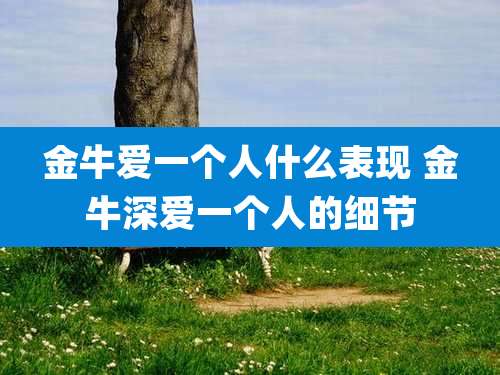 金牛爱一个人什么表现 金牛深爱一个人的细节