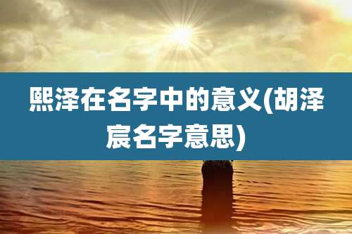 熙泽在名字中的意义(胡泽宸名字意思)