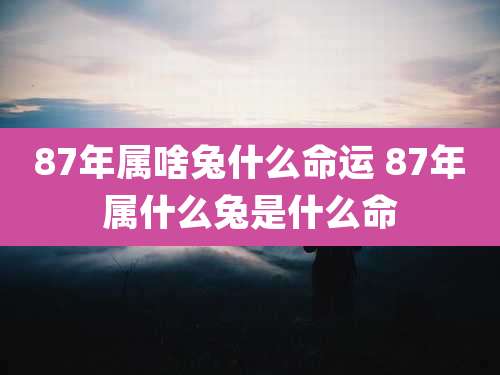 87年属啥兔什么命运 87年属什么兔是什么命