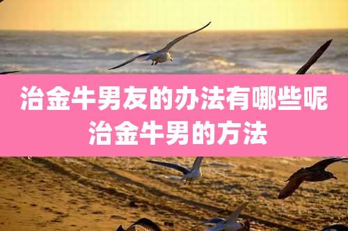 治金牛男友的办法有哪些呢 治金牛男的方法