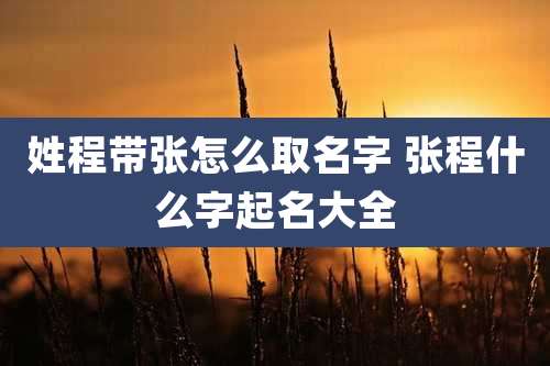 姓程带张怎么取名字 张程什么字起名大全