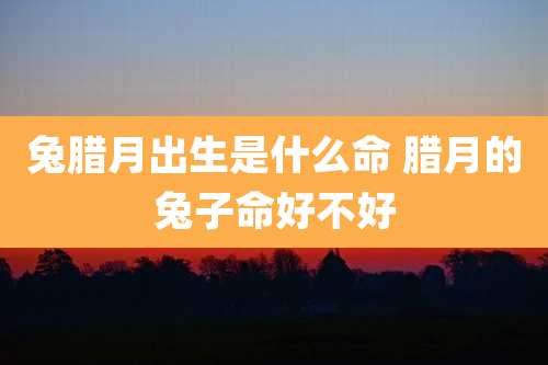 兔腊月出生是什么命 腊月的兔子命好不好