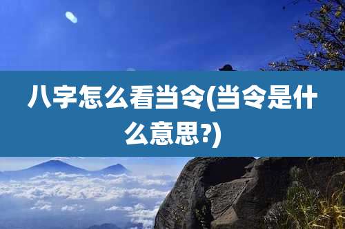 八字怎么看当令(当令是什么意思?)