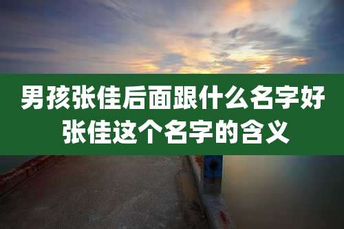 男孩张佳后面跟什么名字好 张佳这个名字的含义