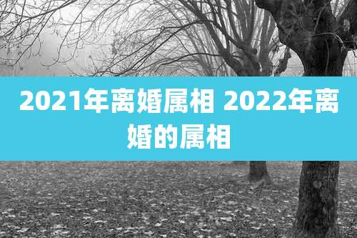 2021年离婚属相 2022年离婚的属相