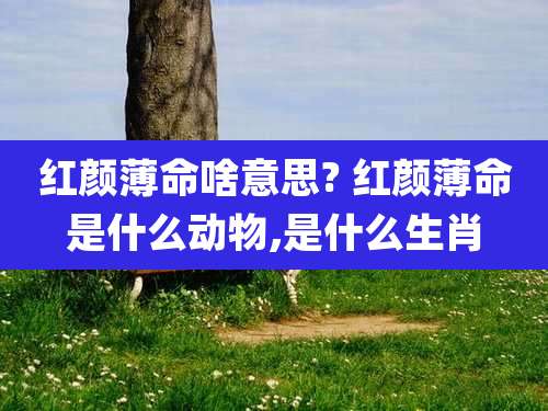 红颜薄命啥意思? 红颜薄命是什么动物,是什么生肖
