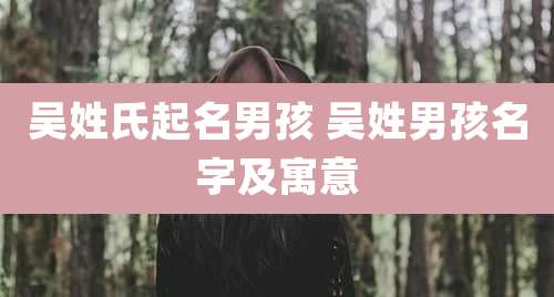 吴姓氏起名男孩 吴姓男孩名字及寓意