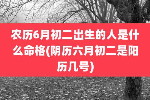 农历6月初二出生的人是什么命格(阴历六月初二是阳历几号)